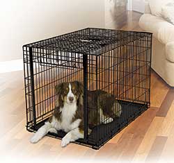 Midwest Ovation Single Door Up & Away Wire Dog Crates 24-inch low threshold
